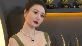 柳岩喜获“最具突破女演员”殊荣 坦言40岁演技获表彰有点早