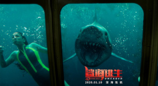 《鲨海逃生》生猛开年 引爆极致惊险与震撼体验