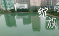 微電影展播：綻放