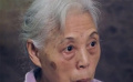 我们这四十年