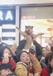 被迫追星！ 粉絲為吸引劉昊然注意力當眾舉柴犬