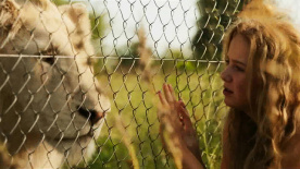 走进南非电影 在与动物的和谐相处中 感受影像中的人与自然