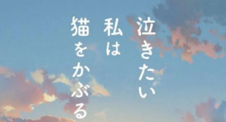 美少女追愛化身貓咪？又一部輕甜治愈系動畫來了