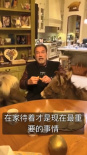 施瓦辛格呼吁不要外出！愛寵小馬小驢被“鎖喉”