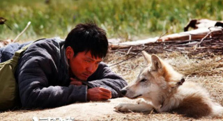 《狼圖騰》《戰(zhàn)狼2》等經(jīng)典影片復(fù)映 不止于暖場