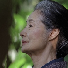 椿之庭