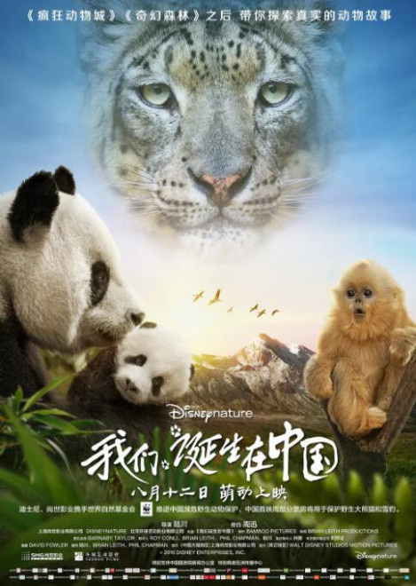 《我们诞生在中国》等5部环保主题影片“云展映”