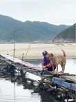 劉嘉玲周潤發(fā)登山遠足曬合影 65歲發(fā)哥精神飽滿