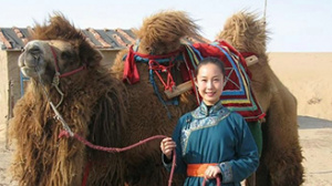孤驼泪