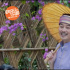 陶虹攜“前夫”沙溢做客《向往4》跳傣族舞歡樂多