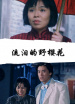 流淚的野櫻花