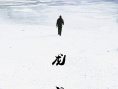 龍門相