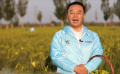 大同市農業(yè)農村局局長感謝李佳琦帶貨大同黃花！