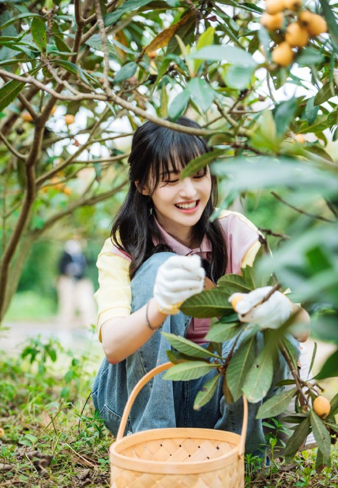 allbet gaming:郑爽戴双星发夹温婉可人 采摘枇杷喂萌娃画面温馨 第1张 allbet gaming:郑爽戴双星发夹温婉可人 采摘枇杷喂萌娃画面温馨 第1张