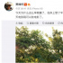 电影院终于开门了！回顾电影中打动人心的瞬间
