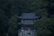 春江水暖