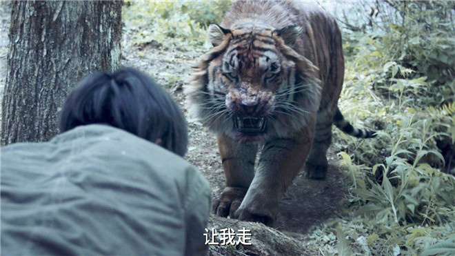 反盗猎片子《山君》首播获赞 高能剧情扣人心弦