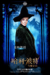 哈利·波特与魔法石