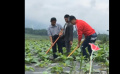 《溫暖有光放映隊》郭曉東干農(nóng)活 這場放映之旅也太充實啦！