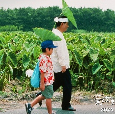 菊次郎的夏天