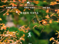 真相