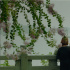 北影節(jié)線上展映片單公布 部分影片線上只放映一場