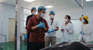 《溫暖有光放映隊》隊員走進扶貧車間 見識寧夏的寶藏特產(chǎn)