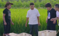 《溫暖有光放映隊》王寶強、王祖藍、楊威近距離接觸小龍蝦