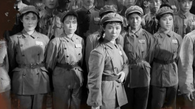 纪念中国人民志愿军抗美援朝出国作战70周年：战地玫瑰