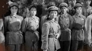 纪念中国人民志愿军抗美援朝出国作战70周年：战地玫瑰