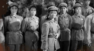 纪念中国人民志愿军抗美援朝出国作战70周年：战地玫瑰