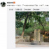 久違了，志摩！黃磊為徐志摩掃墓 曾扮演這位詩人