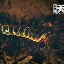 長白山天池水怪