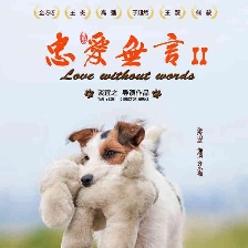 忠愛無言2