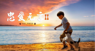 《忠愛無言2》喜獲金雞獎(jiǎng)兩提名 關(guān)注自閉癥兒童