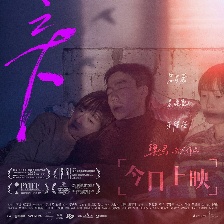 日光之下