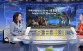 只顾广度丢了深度 系列电影不能靠“加人”让观众保持新鲜感