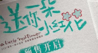 《送你一朵小紅花》預售 12月31日18:00首場開映