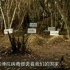 當(dāng)?shù)厍虬l(fā)動(dòng)人類清除計(jì)劃時(shí)，埃博拉就是他的「破陣先鋒」