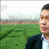 央視聯(lián)播點贊河南：線上專家“云指導(dǎo)” 架起春耕“服務(wù)橋”