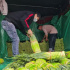 河南中牟：大蒜之乡的新鲜蒜薹上市了