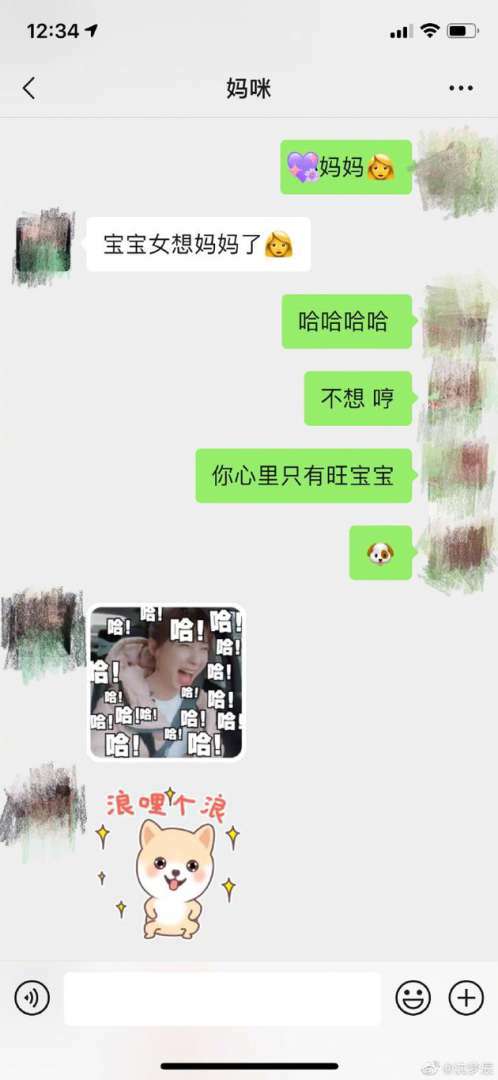 沈梦辰与妈妈聊天截图