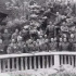他們是遠征軍，但他們同樣是民族英雄