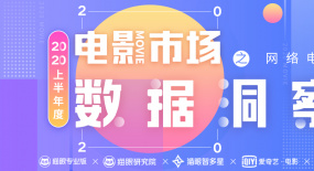 2020上半年度電影市場數據洞察·網絡電影