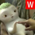第二批復(fù)業(yè)影城名單，有沒有你家門口？