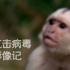 走入银幕，这些国家如何抗疫？