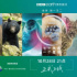 9.7分紀錄片，帶你換個角度看世界