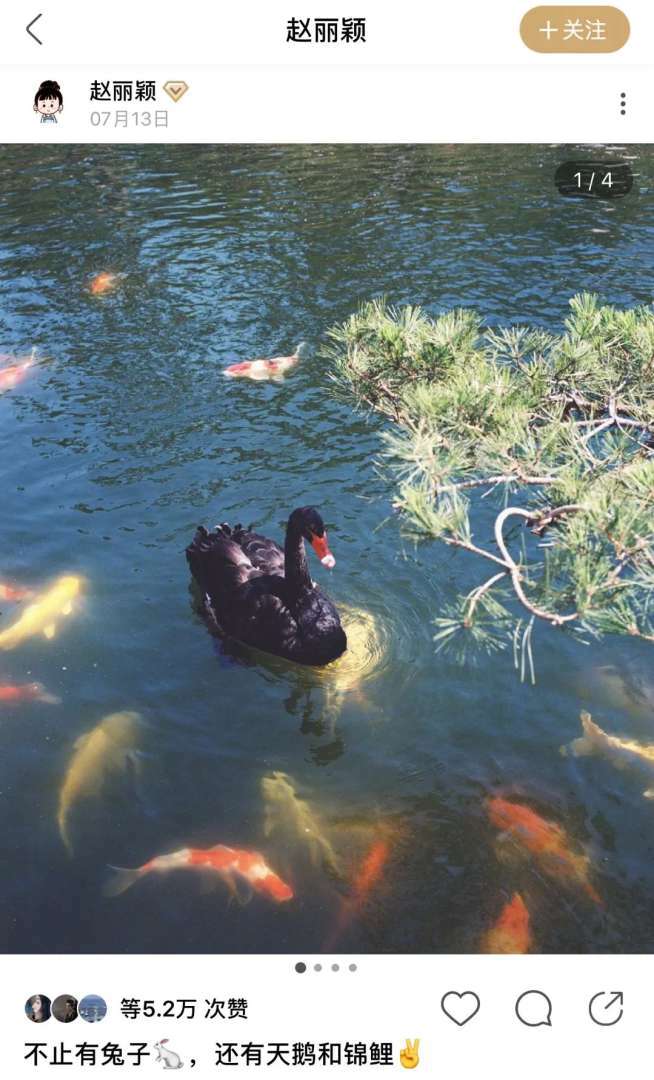 夏天就该像他们这样过！