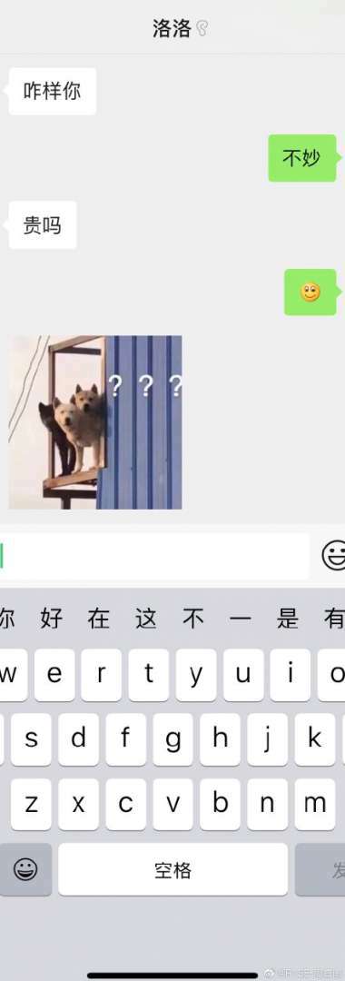 何洛洛周震南聊天截图