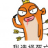 從數(shù)字營(yíng)銷到MCN：很多爛尾的資本故事，都有同一個(gè)開(kāi)端